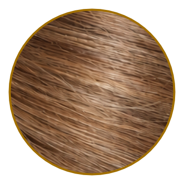 Florentine