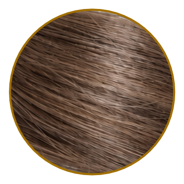 Truffle