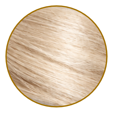 Vanilla Cream